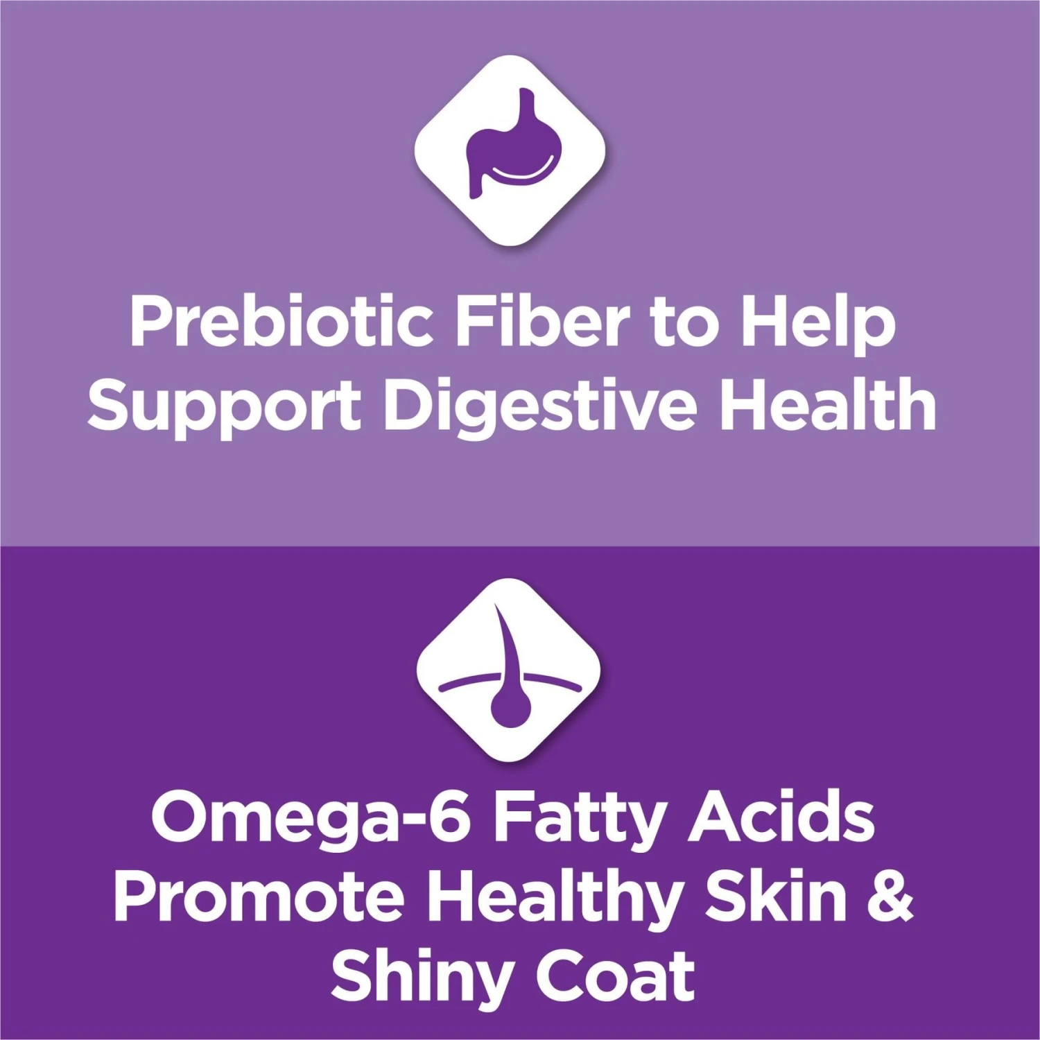 Cat Chow Sensitive Stomach Gentle Dry Cat Food 3 Cat Chow Sensitive Stomach Gentle Dry Cat Food - Image 3