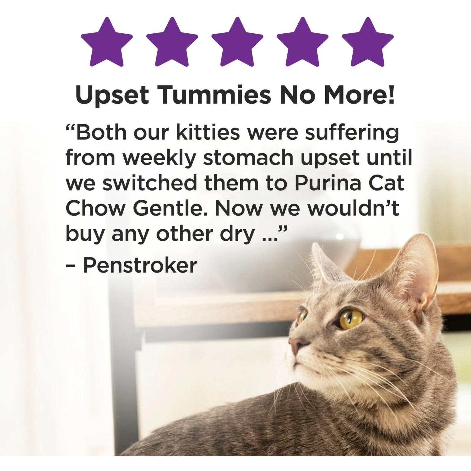 Cat Chow Sensitive Stomach Gentle Dry Cat Food 6 Cat Chow Sensitive Stomach Gentle Dry Cat Food - Image 6