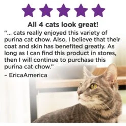 Cat Chow Sensitive Stomach Gentle Dry Cat Food 15 Cat Chow Sensitive Stomach Gentle Dry Cat Food -Wellness Sales 100118 PT6. AC SS1800 V1695736857