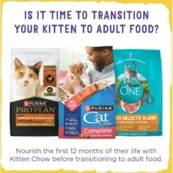 Kitten Chow Nurture Muscle & Brain Development Dry Cat Food -Wellness Sales 100176 PT2. AC SS1800 V1695846580