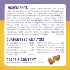 Kitten Chow Nurture Muscle & Brain Development Dry Cat Food -Wellness Sales 100176 PT4. AC SS1800 V1695736192