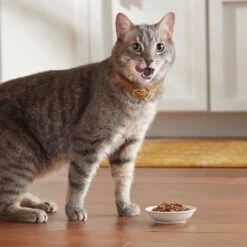 Meow Mix Tender Favorites Poultry & Beef Cat Food Trays Variety Pack 13 Meow Mix Tender Favorites Poultry & Beef Cat Food Trays Variety Pack -Wellness Sales 100237 PT4. AC SS1800 V1670940459