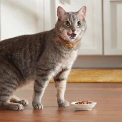 Meow Mix Tender Favorites Surf 'N Turf Variety Pack Cat Food Trays -Wellness Sales 100241 PT4. AC SS1800 V1670940730