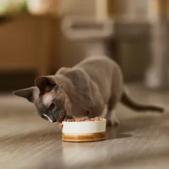 9 Lives Meaty Pate With Real Chicken Canned Cat Food -Wellness Sales 100304 PT3. AC SS1800 V1682710698