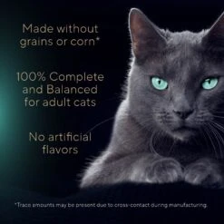 Sheba Gravy Indulgence White Fish Entree In Extra Gravy Grain-Free Adult Wet Cat Food, 2.64-oz Can, Case Of 24 12 Sheba Gravy Indulgence White Fish Entree In Extra Gravy Grain-Free Adult Wet Cat Food, 2.64-oz Can, Case Of 24 -Wellness Sales 1017654 PT3. AC SS1800 V1700599201