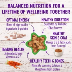 Wellness Complete Health Minced Poultry Pleasers Variety Pack Grain-Free Canned Cat Food 13 Wellness Complete Health Minced Poultry Pleasers Variety Pack Grain-Free Canned Cat Food -Wellness Sales 102003 PT4. AC SS1800 V1666651198