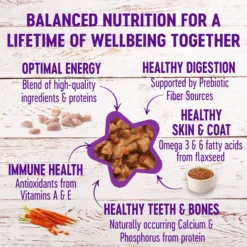 Wellness Complete Health Minced Poultry Pleasers Variety Pack Grain-Free Canned Cat Food 15 Wellness Complete Health Minced Poultry Pleasers Variety Pack Grain-Free Canned Cat Food -Wellness Sales 102003 PT6. AC SS1800 V1666650038