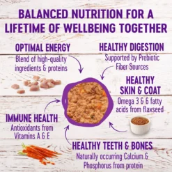 Wellness Complete Health Poultry Lovers Pate Variety Pack Grain-Free Natural Canned Cat Food -Wellness Sales 102005 PT3. AC SS1800 V1666651561