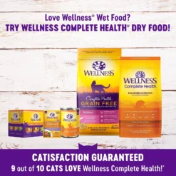 Wellness Complete Health Poultry Lovers Pate Variety Pack Grain-Free Natural Canned Cat Food -Wellness Sales 102005 PT8. AC SS1800 V1639692100
