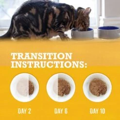 Purina Beyond Grain-Free Pate 3 Flavors Variety Pack Canned Cat Food -Wellness Sales 102323 PT7. AC SS1800 V1700162608