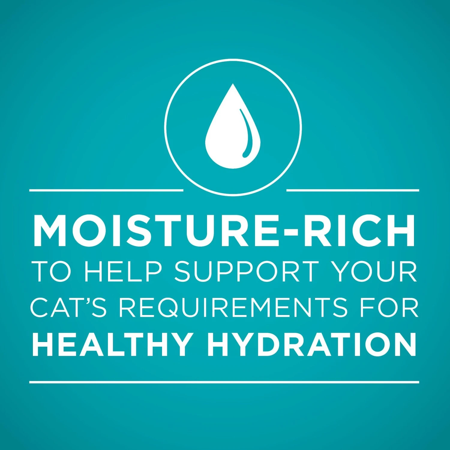 Purina ONE True Instinct Turkey, Chicken & Tuna Variety Pack Canned Cat Food 4 Purina ONE True Instinct Turkey, Chicken & Tuna Variety Pack Canned Cat Food - Image 4