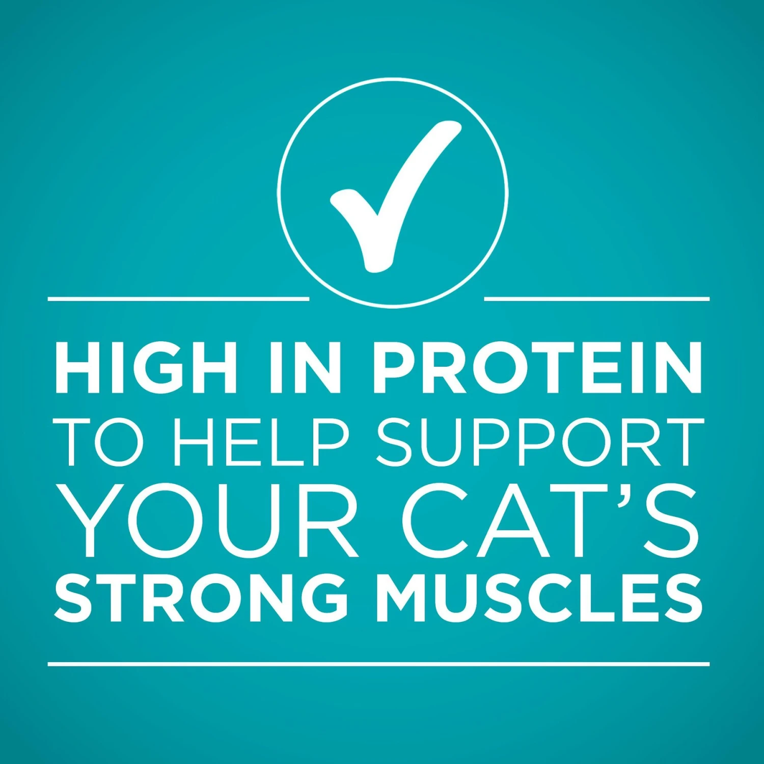 Purina ONE True Instinct Turkey, Chicken & Tuna Variety Pack Canned Cat Food 5 Purina ONE True Instinct Turkey, Chicken & Tuna Variety Pack Canned Cat Food - Image 5