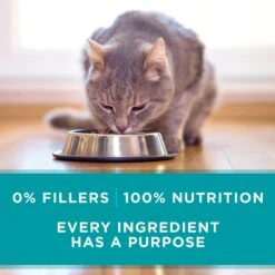 Purina ONE True Instinct Turkey, Chicken & Tuna Variety Pack Canned Cat Food 14 Purina ONE True Instinct Turkey, Chicken & Tuna Variety Pack Canned Cat Food -Wellness Sales 102381 PT5. AC SS1800 V1560796129