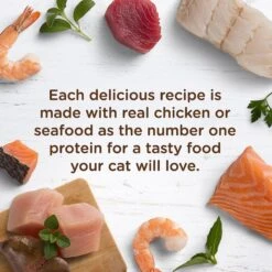 Rachael Ray Nutrish Tuna Purrfection Natural Grain-Free Wet Cat Food 9 Rachael Ray Nutrish Tuna Purrfection Natural Grain-Free Wet Cat Food -Wellness Sales 105377 PT3. AC SS1800 V1535580204