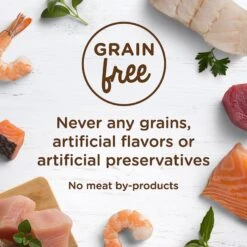 Rachael Ray Nutrish Ocean Fish-A-Licious Natural Grain-Free Wet Cat Food 11 Rachael Ray Nutrish Ocean Fish-A-Licious Natural Grain-Free Wet Cat Food -Wellness Sales 105379 PT4. AC SS1800 V1535580171