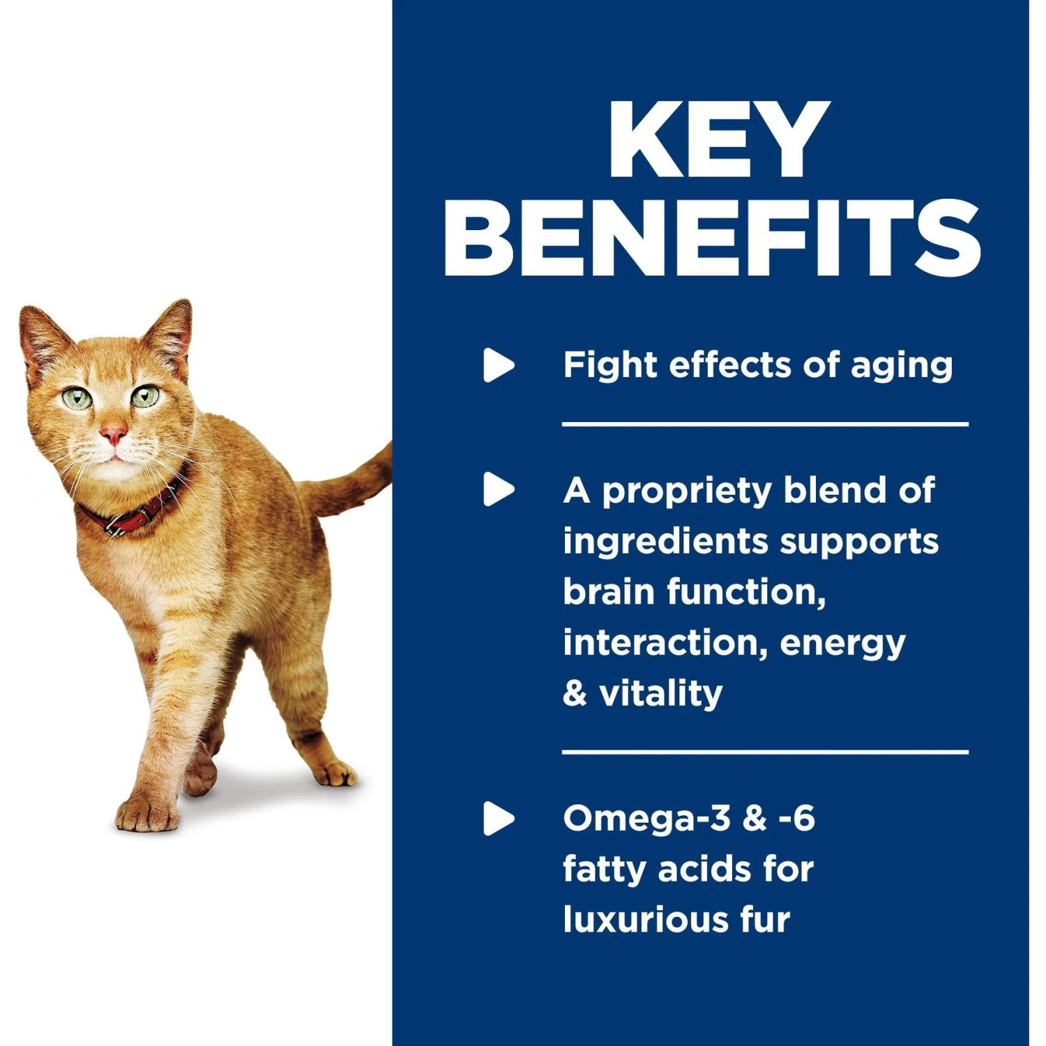 Hill's Science Diet Adult 7+ Senior Vitality Chicken & Vegetable Stew Canned Cat Food 5 Hill's Science Diet Adult 7+ Senior Vitality Chicken & Vegetable Stew Canned Cat Food - Image 5