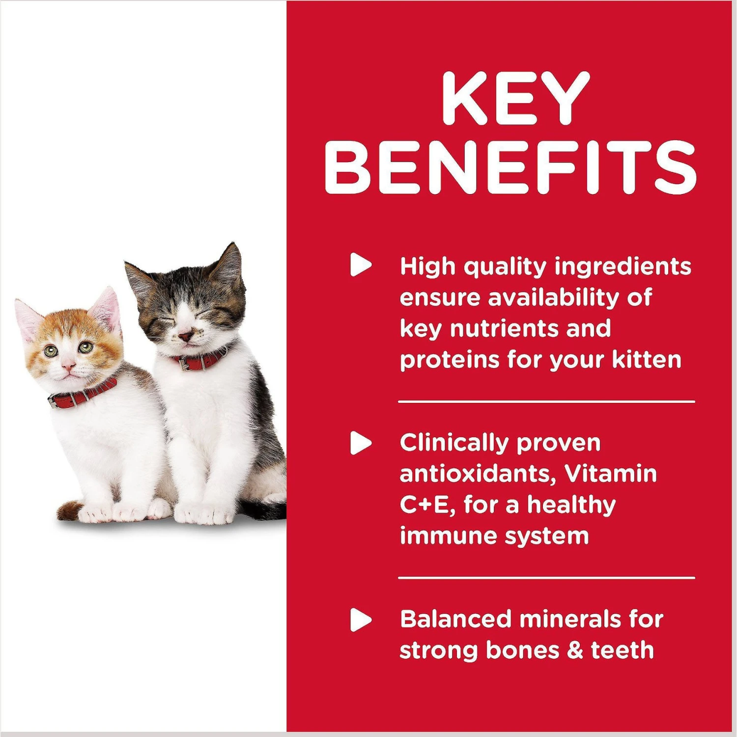 Hill's Science Diet Kitten Savory Salmon Entree Canned Cat Food 4 Hill's Science Diet Kitten Savory Salmon Entree Canned Cat Food - Image 4