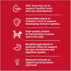 Hill's Science Diet Kitten Liver & Chicken Entree Canned Cat Food 12 Hill's Science Diet Kitten Liver & Chicken Entree Canned Cat Food -Wellness Sales 110297 PT3. AC SS1800 V1690570731