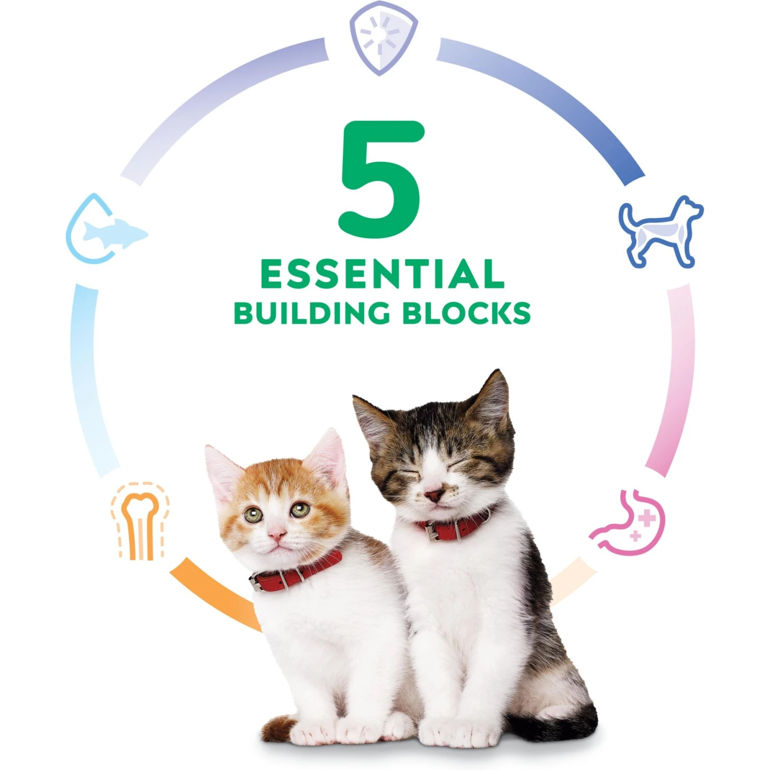 Hill's Science Diet Kitten Liver & Chicken Entree Canned Cat Food 5 Hill's Science Diet Kitten Liver & Chicken Entree Canned Cat Food - Image 5