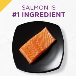 Purina Pro Plan Prime Plus Adult 7+ Salmon & Tuna Entree Classic Canned Cat Food, 3-oz Can, Case Of 24 11 Purina Pro Plan Prime Plus Adult 7+ Salmon & Tuna Entree Classic Canned Cat Food, 3-oz Can, Case Of 24 -Wellness Sales 111107 PT2. AC SS1800 V1585863093