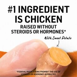 Purina Beyond Grain-Free Natural Pate Chicken & Sweet Potato Recipe Wet Cat Food -Wellness Sales 112040 PT3. AC SS1800 V1700158195