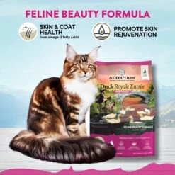 Addiction Grain-Free Duck Royale Dry Cat Food -Wellness Sales 112845 PT2. AC SS1800 V1699027923