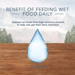 Blue Buffalo Wilderness Pate Kitten Variety Pack With Chicken & Salmon Grain-Free Cat Food -Wellness Sales 114188 PT6. AC SS1800 V1601027166