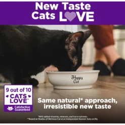 Wellness Complete Health Natural Grain-Free Deboned Chicken & Chicken Meal Dry Kitten Food -Wellness Sales 114499 PT4. AC SS1800 V1636519673