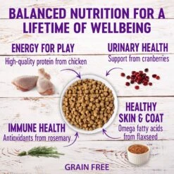 Wellness Complete Health Natural Grain-Free Deboned Chicken & Chicken Meal Dry Cat Food -Wellness Sales 114504 PT2. AC SS1800 V1636554118