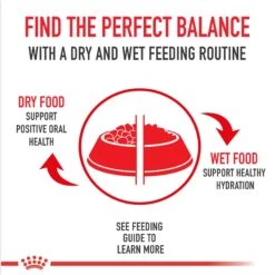 Royal Canin Feline Breed Nutrition Persian Loaf In Sauce Adult Canned Cat Food, 3-oz, Case Of 4 9 Royal Canin Feline Breed Nutrition Persian Loaf In Sauce Adult Canned Cat Food, 3-oz, Case Of 4 -Wellness Sales 117979 PT2. AC SS1800 V1696614257