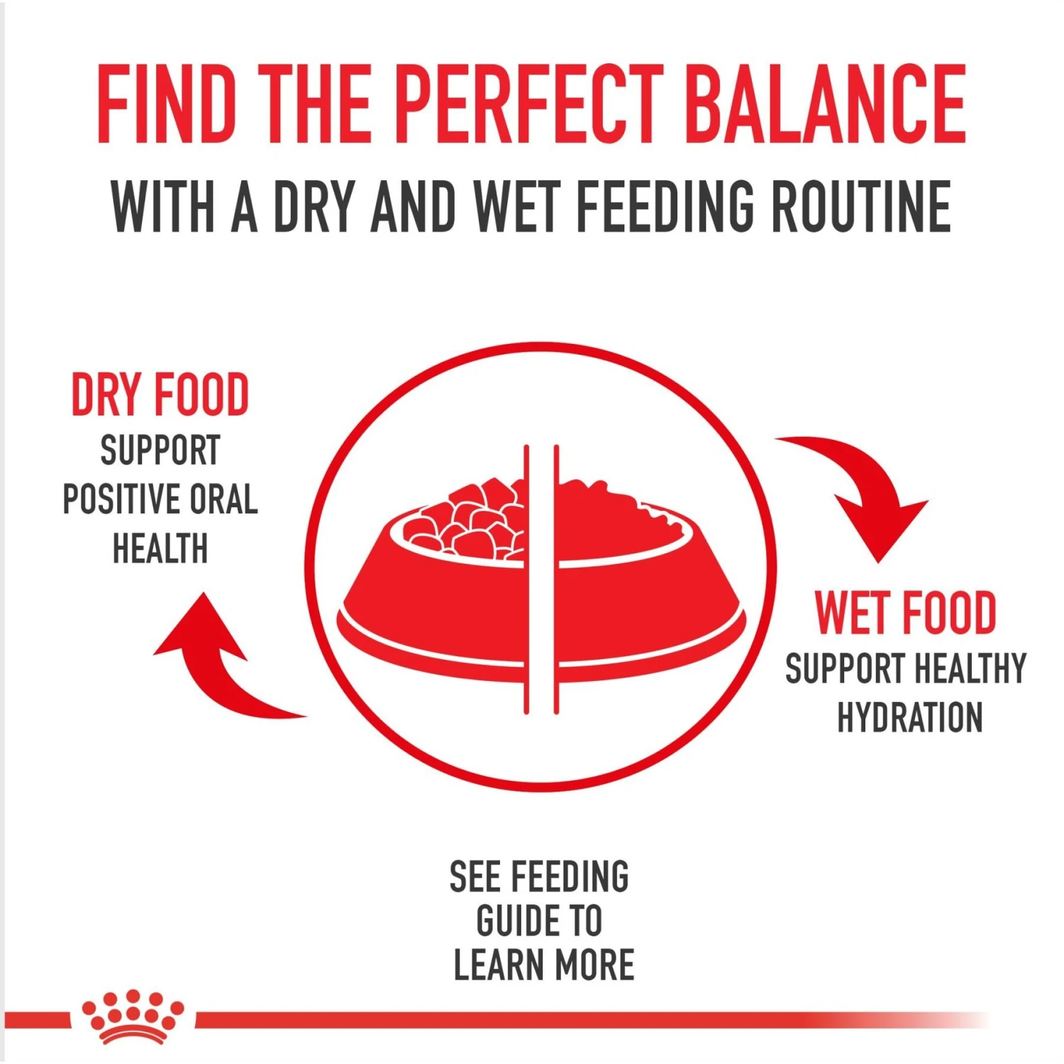 Royal Canin Feline Breed Nutrition Persian Loaf In Sauce Adult Canned Cat Food, 3-oz, Case Of 4 3 Royal Canin Feline Breed Nutrition Persian Loaf In Sauce Adult Canned Cat Food, 3-oz, Case Of 4 - Image 3