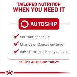 Royal Canin Feline Breed Nutrition Persian Loaf In Sauce Adult Canned Cat Food, 3-oz, Case Of 4 11 Royal Canin Feline Breed Nutrition Persian Loaf In Sauce Adult Canned Cat Food, 3-oz, Case Of 4 -Wellness Sales 117979 PT4. AC SS1800 V1696614255