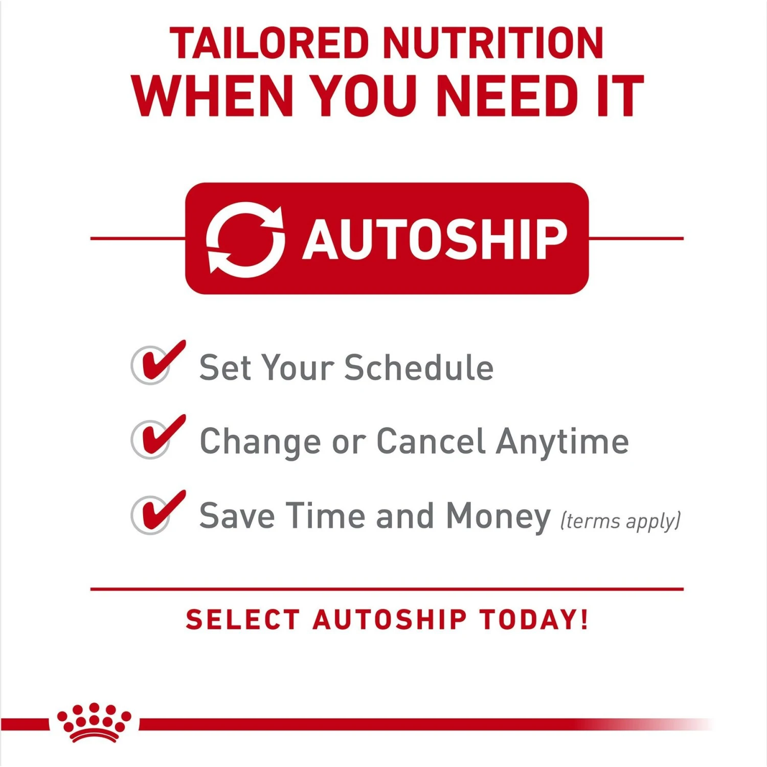 Royal Canin Feline Breed Nutrition Persian Loaf In Sauce Adult Canned Cat Food, 3-oz, Case Of 4 5 Royal Canin Feline Breed Nutrition Persian Loaf In Sauce Adult Canned Cat Food, 3-oz, Case Of 4 - Image 5