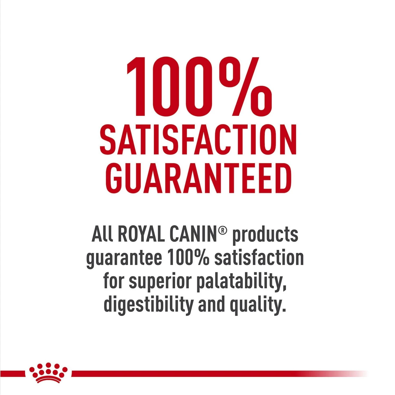 Royal Canin Feline Breed Nutrition Persian Loaf In Sauce Adult Canned Cat Food, 3-oz, Case Of 4 6 Royal Canin Feline Breed Nutrition Persian Loaf In Sauce Adult Canned Cat Food, 3-oz, Case Of 4 - Image 6