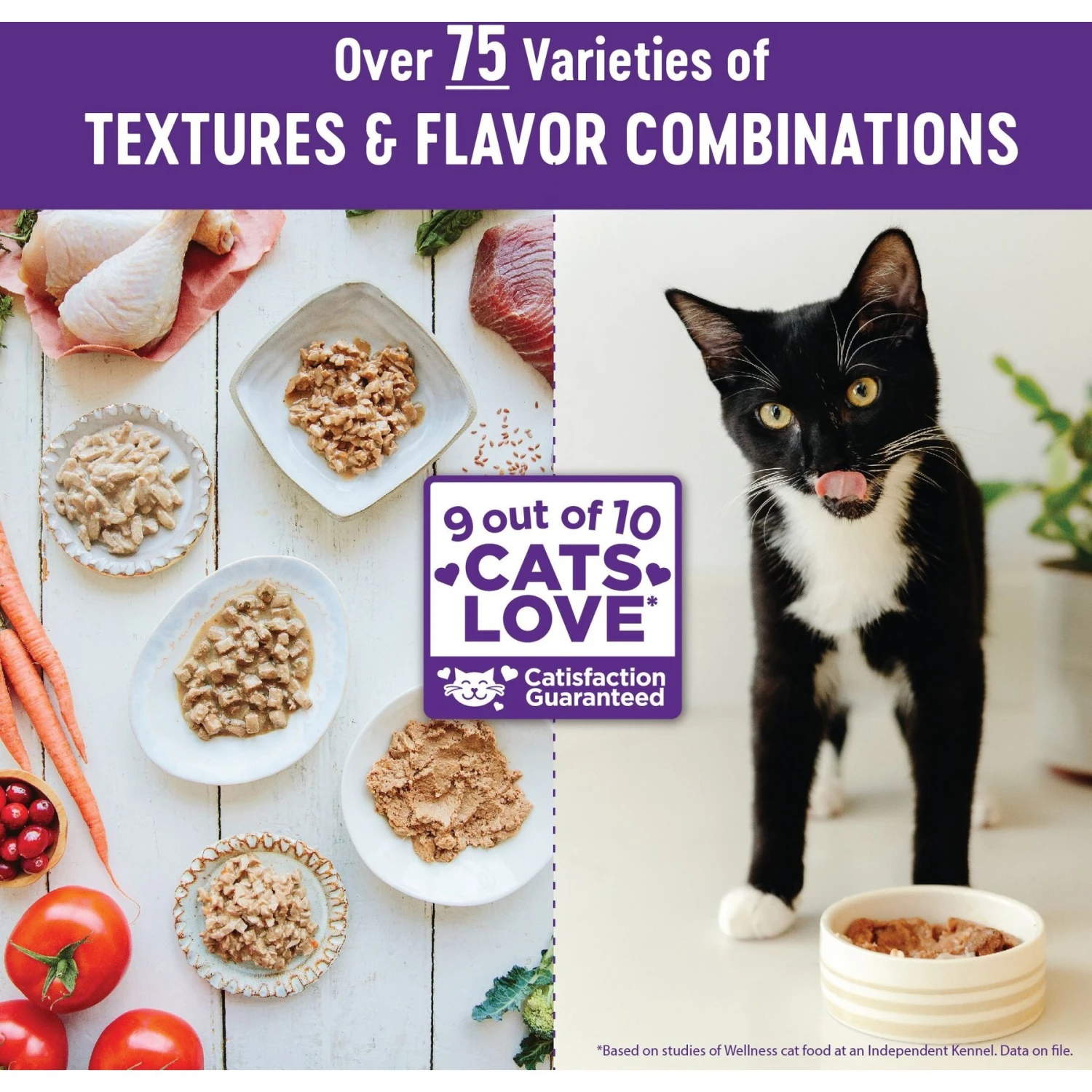 Wellness Natural Grain-Free Gravies Chicken Entrée Canned Cat Food 7 Wellness Natural Grain-Free Gravies Chicken Entrée Canned Cat Food - Image 7