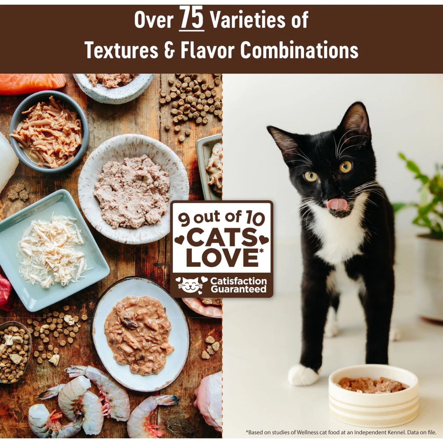 Wellness CORE Natural Grain-Free Turkey & Chicken Liver Pate Canned Kitten Food 7 Wellness CORE Natural Grain-Free Turkey & Chicken Liver Pate Canned Kitten Food - Image 7