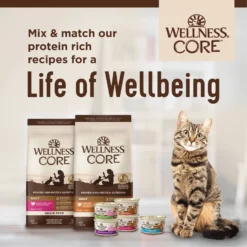 Wellness CORE Natural Grain-Free Turkey & Chicken Liver Pate Canned Kitten Food 15 Wellness CORE Natural Grain-Free Turkey & Chicken Liver Pate Canned Kitten Food -Wellness Sales 118868 PT7. AC SS1800 V1695827003