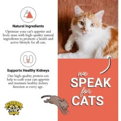 Dr. Elsey's Cleanprotein Salmon Kibble Cat Dry Food -Wellness Sales 119084 PT4. AC SS1800 V1701368776