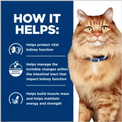Hill's Prescription Diet K/d Kidney Care + Mobility Care With Chicken Dry Cat Food -Wellness Sales 122119 PT5. AC SS1800 V1691775840
