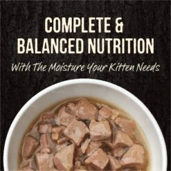 Merrick Backcountry Grain-Free Kitten Recipe Cuts Chicken & Duck In Gravy Cat Food Pouches 11 Merrick Backcountry Grain-Free Kitten Recipe Cuts Chicken & Duck In Gravy Cat Food Pouches -Wellness Sales 123840 PT2. AC SS1800 V1638043921