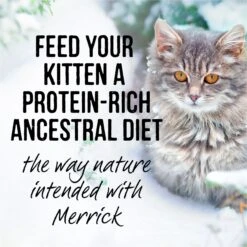Merrick Backcountry Grain-Free Kitten Recipe Cuts Chicken & Duck In Gravy Cat Food Pouches 16 Merrick Backcountry Grain-Free Kitten Recipe Cuts Chicken & Duck In Gravy Cat Food Pouches -Wellness Sales 123840 PT7. AC SS1800 V1638038819