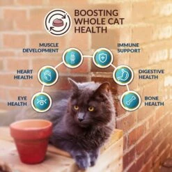 Wishbone Roost New Zealand Chicken Grain-Free Complete Cat Health Dry Cat Food -Wellness Sales 123912 PT4. AC SS1800 V1703863125