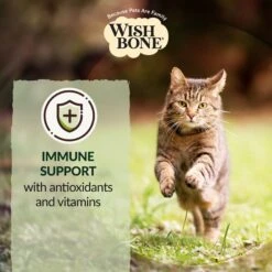 Wishbone Pasture New Zealand Lamb Grain-Free Complete Cat Health Dry Cat Food -Wellness Sales 124079 PT5. AC SS1800 V1702503579