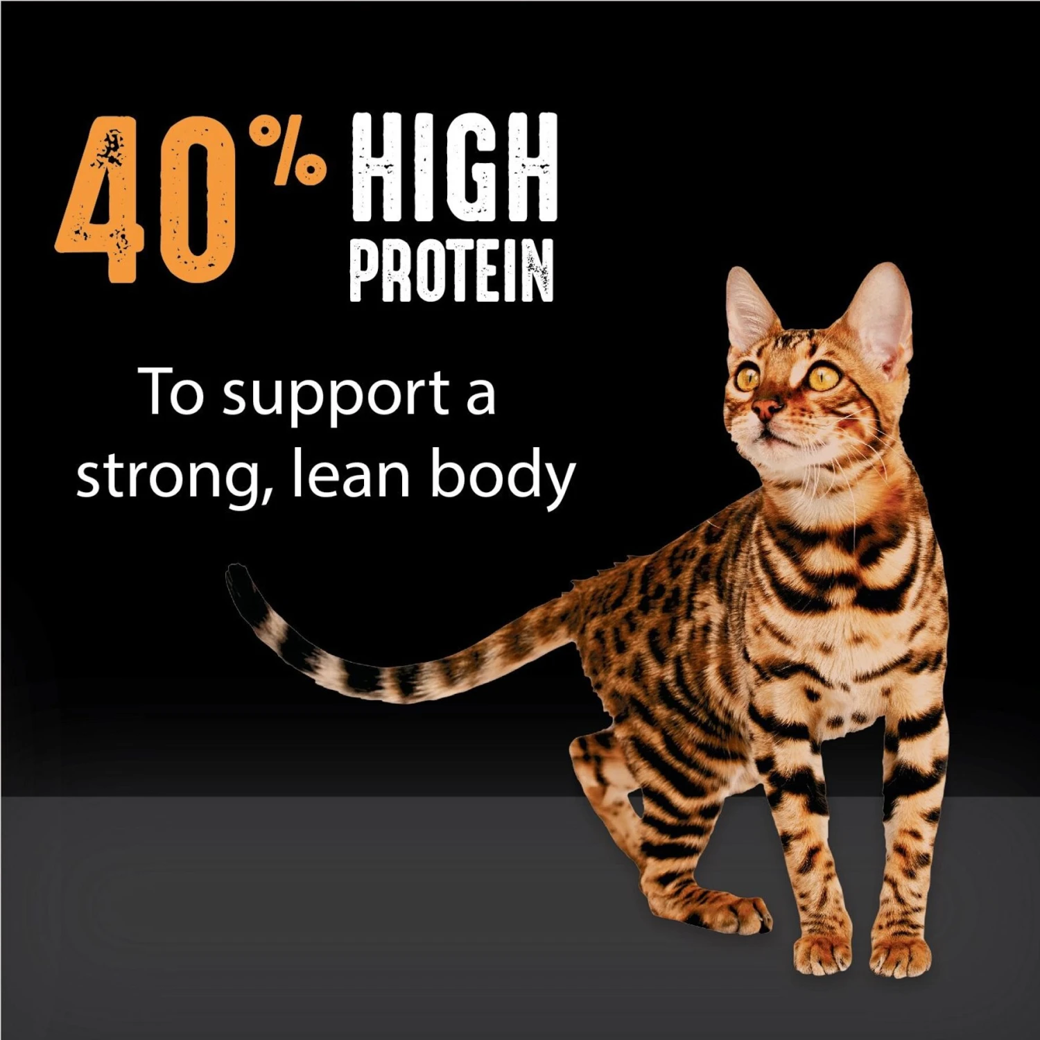 Crave With Protein From Chicken Adult Grain-Free Dry Cat Food 5 Crave With Protein From Chicken Adult Grain-Free Dry Cat Food - Image 5