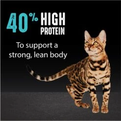 Crave With Protein From Salmon & Ocean Fish Adult Grain-Free Dry Cat Food -Wellness Sales 126683 PT4. AC SS1800 V1688756927