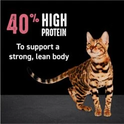 Crave With Protein From Chicken & Salmon Indoor Adult Grain-Free Dry Cat Food -Wellness Sales 126692 PT4. AC SS1800 V1688756658