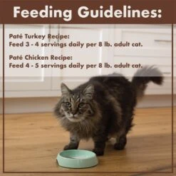 Nutro Perfect Portions Grain-Free Real Turkey & Real Chicken Pate Recipe Variety Pack Adult Wet Cat Food Trays -Wellness Sales 128567 PT7. AC SS1800 V1702678672