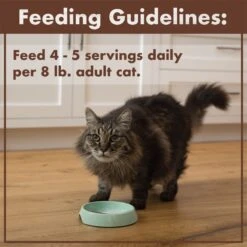 Nutro Perfect Portions Grain-Free Real Salmon & Tuna, Real Chicken & Shrimp Recipe Pate Variety Pack Adult Wet Cat Food Trays 16 Nutro Perfect Portions Grain-Free Real Salmon & Tuna, Real Chicken & Shrimp Recipe Pate Variety Pack Adult Wet Cat Food Trays -Wellness Sales 128569 PT7. AC SS1800 V1702678670