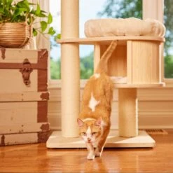 Nutro Perfect Portions Grain-Free Cuts In Gravy Tuna Recipe Adult Wet Cat Food Trays 17 Nutro Perfect Portions Grain-Free Cuts In Gravy Tuna Recipe Adult Wet Cat Food Trays -Wellness Sales 128577 PT8. AC SS1800 V1702678409