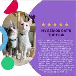 I And Love And You Chicken Me Out Pate Grain-Free Canned Cat Food -Wellness Sales 130177 PT3. AC SS1800 V1692391164